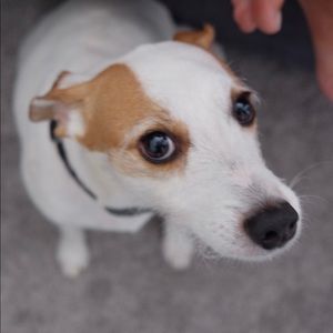 Meet your Posher, Ruth